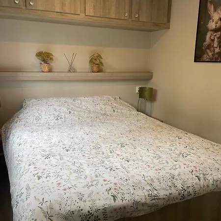 Dağ evi Chalet Vakantiepark Beekbergen *