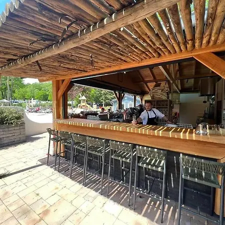 Dağ evi Chalet Vakantiepark Beekbergen *